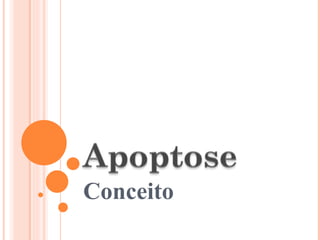 Conceito 