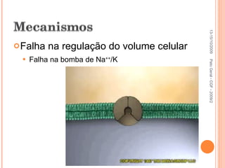 Falha na regulação do volume celular Falha na bomba de Na ++ /K 13-15/10/2009 Pato Geral - CGF - 2009/2 