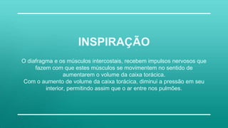 O diafragma e os músculos intercostais, recebem impulsos nervosos que
fazem com que estes músculos se movimentem no sentido de
aumentarem o volume da caixa torácica.
Com o aumento de volume da caixa torácica, diminui a pressão em seu
interior, permitindo assim que o ar entre nos pulmões.
INSPIRAÇÃO
 