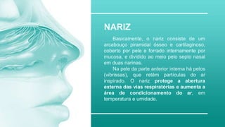 NARIZ
Basicamente, o nariz consiste de um
arcabouço piramidal ósseo e cartilaginoso,
coberto por pele e forrado internamente por
mucosa, e dividido ao meio pelo septo nasal
em duas narinas.
Na pele da parte anterior interna há pelos
(vibrissas), que retêm partículas do ar
inspirado. O nariz protege a abertura
externa das vias respiratórias e aumenta a
área de condicionamento do ar, em
temperatura e umidade.
 