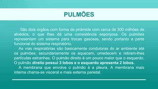 PULMÕES
São dois órgãos com forma de pirâmide com cerca de 300 milhões de
alvéolos, o que lhes dá uma consistência esponjosa. Os pulmões
representam um sistema para trocas gasosas, sendo portanto a parte
funcional do sistema respiratório.
As vias respiratórias são basicamente condutoras do ar ambiente até
os pulmões; secundariamente os aquecem, umedecem e retiram-lhes
partículas estranhas. O pulmão direito é um pouco maior que o esquerdo.
O pulmão direito possui 3 lobos e o esquerdo apresenta 2 lobos.
A membrana que envolve o pulmão é a pleura. A membrana mais
interna chama-se visceral e mais externa parietal.
 