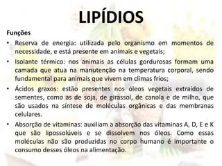 LIPÍDIOS
Funções
• Reserva de energia: utilizada pelo organismo em momentos de
necessidade, e está presente em animais e vegetais;
• Isolante térmico: nos animais as células gordurosas formam uma
camada que atua na manutenção na temperatura corporal, sendo
fundamental para animais que vivem em climas frios;
• Ácidos graxos: estão presentes nos óleos vegetais extraídos de
sementes, como as de soja, de girassol, de canola e de milho, que
são usados na síntese de moléculas orgânicas e das membranas
celulares.
• Absorção de vitaminas: auxiliam a absorção das vitaminas A, D, E e K
que são lipossolúveis e se dissolvem nos óleos. Como essas
moléculas não são produzidas no corpo humano é importante o
consumo desses óleos na alimentação.
 