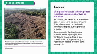 Os organismos vivos também podem
modificar elementos não vivos do
ambiente.
As plantas, por exemplo, ao crescerem,
podem bloquear a luz solar em uma
área, alterando as condições de
luminosidade para outras plantas e
animais.
Outro exemplo é a interferência
humana, como a poluição, que
contamina o solo, a água e o ar,
prejudicando os organismos que
necessitam desses recursos para
sobreviver.
Ecologia
Área desmatada na Mata Atlântica. As ações do ser humano podem
impactar os demais seres vivos do ambiente e suas relações entre si e
com os fatores abióticos.
© Getty Images.
Foco no conteúdo Veja no livro!
 