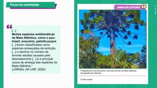 Fotografia de uma Araucária, uma das árvores da Mata Atlântica
ameaçadas de extinção.
© Getty Images.
Foco no conteúdo
[...]
Muitas espécies emblemáticas
da Mata Atlântica, como o pau-
brasil, araucária, palmito-juçara
[...] foram classificadas como
espécies ameaçadas de extinção.
[...] o declínio no número de
árvores adultas causado pelo
desmatamento [...] é a principal
causa de ameaça das espécies da
Mata Atlântica.”
(JORNAL DA USP, 2024)
 