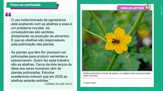 Abelha polinizando uma flor de pepino, um vegetal muito consumido pelos
seres humanos.
© Getty Images.
Foco no conteúdo
O uso indiscriminado de agrotóxicos
está acabando com as abelhas e esse é
um problema mundial. As
consequências são sentidas
diretamente na produção de alimentos.
É que as abelhas são responsáveis
pela polinização das plantas.
As plantas que têm flor precisam ser
polinizadas para produzir sementes e
sobreviverem. Quem faz esse trabalho
são as abelhas. Cerca de dois terços da
dieta dos seres humanos vêm de
plantas polinizadas. Estudos
acadêmicos indicam que em 2035 as
abelhas estarão extintas.”
(JORNAL DA USP, 2017)
 