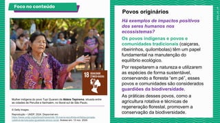 Há exemplos de impactos positivos
dos seres humanos nos
ecossistemas?
Os povos indígenas e povos e
comunidades tradicionais (caiçaras,
ribeirinhos, quilombolas) têm um papel
fundamental na manutenção do
equilíbrio ecológico.
Por respeitarem a natureza e utilizarem
as espécies de forma sustentável,
conservando a floresta “em pé”, esses
povos e comunidades são considerados
guardiões da biodiversidade.
As práticas desses povos, como a
agricultura rotativa e técnicas de
regeneração florestal, promovem a
conservação da biodiversidade.
Povos originários
Mulher indígena do povo Tupi Guarani da Aldeia Tapirema, situada entre
as cidades de Peruíbe e Itanhaém, no litoral sul de São Paulo.
© Getty Images.
Foco no conteúdo Veja no livro!
Reprodução – UNDP, 2024. Disponível em:
https://www.undp.org/pt/brazil/news/ods-18-marca-escolhida-enfatiza-jornada-
coletiva-da-luta-pela-igualdade-etnico-racial. Acesso em: 13 nov. 2024.
 