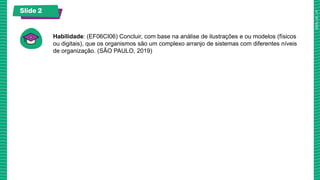 Slide 2
Habilidade: (EF06CI06) Concluir, com base na análise de ilustrações e ou modelos (físicos
ou digitais), que os organismos são um complexo arranjo de sistemas com diferentes níveis
de organização. (SÃO PAULO, 2019)
 