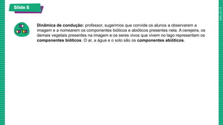 Slide 5
Dinâmica de condução: professor, sugerimos que convide os alunos a observarem a
imagem e a nomearem os componentes bióticos e abióticos presentes nela. A cerejeira, os
demais vegetais presentes na imagem e os seres vivos que vivem no lago representam os
componentes bióticos. O ar, a água e o solo são os componentes abióticos.
 