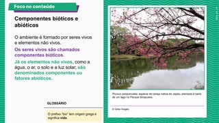 O ambiente é formado por seres vivos
e elementos não vivos.
Os seres vivos são chamados
componentes bióticos.
Já os elementos não vivos, como a
água, o ar, o solo e a luz solar, são
denominados componentes ou
fatores abióticos.
Prunus campanulata, espécie de cereja nativa do Japão, plantada à beira
de um lago no Parque Ibirapuera.
© Getty Images.
Componentes bióticos e
abióticos
Foco no conteúdo
O prefixo “bio” tem origem grega e
significa vida.
GLOSSÁRIO
 