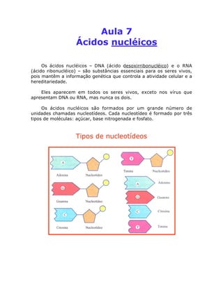 Aula 7
Ácidos nucléicos
Os ácidos nucléicos – DNA (ácido desoxirribonucléico) e o RNA
(ácido ribonucléico) – são substâncias essenciais para os seres vivos,
pois mantêm a informação genética que controla a atividade celular e a
hereditariedade.
Eles aparecem em todos os seres vivos, exceto nos vírus que
apresentam DNA ou RNA, mas nunca os dois.
Os ácidos nucléicos são formados por um grande número de
unidades chamadas nucleotídeos. Cada nucleotídeo é formado por três
tipos de moléculas: açúcar, base nitrogenada e fosfato.
Tipos de nucleotídeos
 