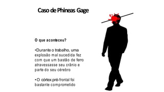 CasodePhineas Gage
O que aconteceu?
•Durante o trabalho, uma
explosão m al sucedida fez
com que um bastão de ferro
atravessasse seu crânio e
parte do seu cérebro
•O córtex pré-frontal foi
bastante comprometido
 