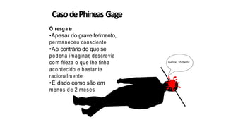 O resgate:
•Apesar do grave ferimento,
permaneceu consciente
•Ao contrário do que se
poderia imaginar, descrevia
com frieza o que lhe tinha
acontecido e bastante
racionalmente
•É dado como são em
menos de 2 meses
CasodePhineas Gage
Gente, tô bem!
 