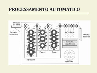 PROCESSAMENTO AUTOMÁTICO
 