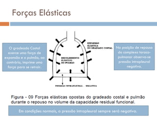 Forças Elásticas Na posição de repouso do complexo toraco-pulmonar observa-se pressão intrapleural negativa. O gradeado Costal exerce uma força de expansão e o pulmão, ao contrário, imprime uma força para se retrair. Em condições normais, a pressão intrapleural sempre será negativa.  