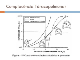 Complacência Tóracopulmonar 