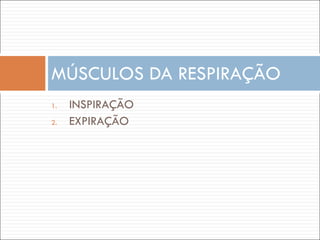 INSPIRAÇÃO EXPIRAÇÃO MÚSCULOS DA RESPIRAÇÃO 