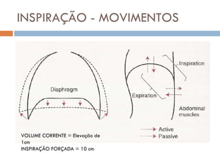 INSPIRAÇÃO - MOVIMENTOS VOLUME CORRENTE = Elevação de 1cm INSPIRAÇÃO FORÇADA = 10 cm 