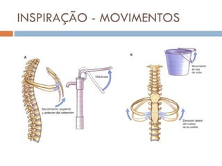 INSPIRAÇÃO - MOVIMENTOS 