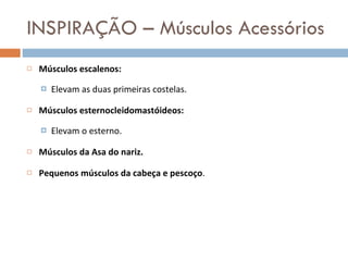 INSPIRAÇÃO – Músculos Acessórios Músculos escalenos:  Elevam as duas primeiras costelas. Músculos esternocleidomastóideos: Elevam o esterno. Músculos da Asa do nariz. Pequenos músculos da cabeça e pescoço . 