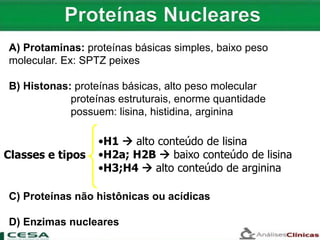 A) Protaminas: proteínas básicas simples, baixo peso
molecular. Ex: SPTZ peixes
B) Histonas: proteínas básicas, alto peso molecular
proteínas estruturais, enorme quantidade
possuem: lisina, histidina, arginina
Classes e tipos
•H1  alto conteúdo de lisina
•H2a; H2B  baixo conteúdo de lisina
•H3;H4  alto conteúdo de arginina
C) Proteínas não histônicas ou acídicas
D) Enzimas nucleares
 