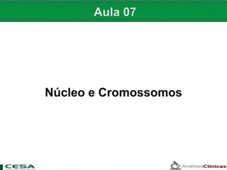 Aula 07   núcleo e cromossomos