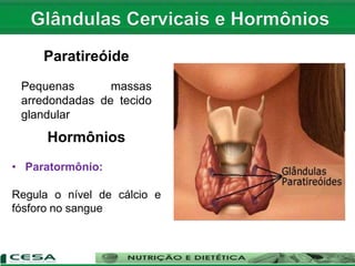 Paratireóide
Pequenas massas
arredondadas de tecido
glandular
Hormônios
• Paratormônio:
Regula o nível de cálcio e
fósforo no sangue
 