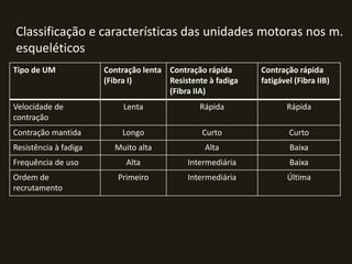 Tipo de UM Contração lenta
(Fibra I)
Contração rápida
Resistente à fadiga
(Fibra IIA)
Contração rápida
fatigável (Fibra IIB)
Velocidade de
contração
Lenta Rápida Rápida
Contração mantida Longo Curto Curto
Resistência à fadiga Muito alta Alta Baixa
Frequência de uso Alta Intermediária Baixa
Ordem de
recrutamento
Primeiro Intermediária Última
Classificação e características das unidades motoras nos m.
esqueléticos
 