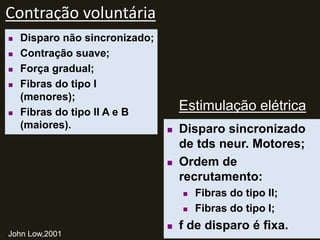 Contração voluntária
Estimulação elétrica
 Disparo não sincronizado;
 Contração suave;
 Força gradual;
 Fibras do tipo I
(menores);
 Fibras do tipo II A e B
(maiores).  Disparo sincronizado
de tds neur. Motores;
 Ordem de
recrutamento:
 Fibras do tipo II;
 Fibras do tipo I;
 f de disparo é fixa.
John Low,2001
 