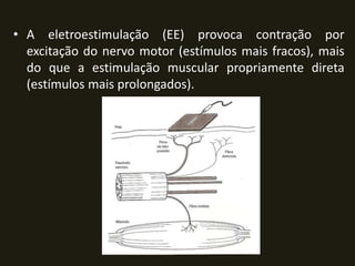 • A eletroestimulação (EE) provoca contração por
excitação do nervo motor (estímulos mais fracos), mais
do que a estimulação muscular propriamente direta
(estímulos mais prolongados).
 