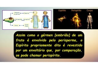 Assim como o gérmen [embrião] de um
fruto é envolvido pelo perisperma, o
Espírito propriamente dito é revestido
por um envoltório que, por comparação,
se pode chamar perispírito.
 