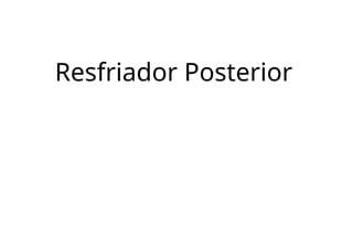 Resfriador Posterior
 