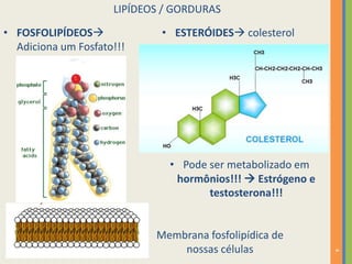 4
LIPÍDEOS / GORDURAS
• FOSFOLIPÍDEOS
Adiciona um Fosfato!!!
Membrana fosfolipídica de
nossas células
• ESTERÓIDES colesterol
• Pode ser metabolizado em
hormônios!!!  Estrógeno e
testosterona!!!
 