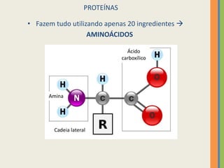 5
PROTEÍNAS
• Fazem tudo utilizando apenas 20 ingredientes 
AMINOÁCIDOS
Ácido
carboxílico
Cadeia lateral
Amina
 