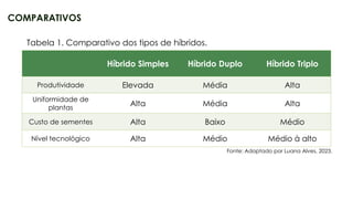 17
COMPARATIVOS
Híbrido Simples Híbrido Duplo Híbrido Triplo
Produtividade Elevada Média Alta
Uniformidade de
plantas
Alta Média Alta
Custo de sementes Alta Baixo Médio
Nível tecnológico Alta Médio Médio à alto
Fonte: Adaptado por Luana Alves, 2023.
Tabela 1. Comparativo dos tipos de híbridos.
 
