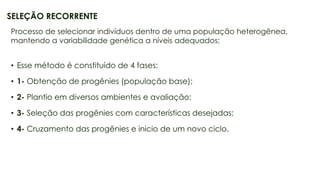 18
SELEÇÃO RECORRENTE
Processo de selecionar indivíduos dentro de uma população heterogênea,
mantendo a variabilidade genética a níveis adequados;
• Esse método é constituído de 4 fases:
• 1- Obtenção de progênies (população base);
• 2- Plantio em diversos ambientes e avaliação;
• 3- Seleção das progênies com características desejadas;
• 4- Cruzamento das progênies e inicio de um novo ciclo.
 