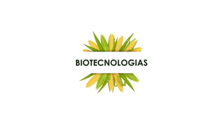 19
BIOTECNOLOGIAS
 