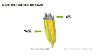 20
96%
4%
Fonte: Canal agro, 2022.
MILHO TRANSGÊNICO NO BRASIL
Figura 5. Porcentagem de milho transgênico no Brasil.
 