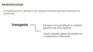 21
• O melhoramento genético vem proporcionando grandes melhorias na
produção;
BIOTECNOLOGIAS
Transgenia Processo no qual alteram o material
genético de uma espécie;
Foram inseridos genes de resistência
a herbicidas e inseticidas.
 