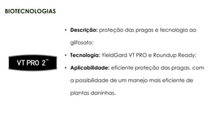 26
• Descrição: proteção das pragas e tecnologia ao
glifosato;
• Tecnologia: YieldGard VT PRO e Roundup Ready;
• Aplicabilidade: eficiente proteção das pragas, com
a possibilidade de um manejo mais eficiente de
plantas daninhas.
BIOTECNOLOGIAS
 