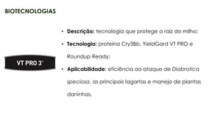 27
• Descrição: tecnologia que protege a raiz do milho;
• Tecnologia: proteína Cry3Bb, YieldGard VT PRO e
Roundup Ready;
• Aplicabilidade: eficiência ao ataque de Diabrotica
speciosa, as principais lagartas e manejo de plantas
daninhas.
BIOTECNOLOGIAS
 