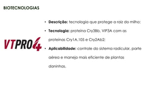 28
• Descrição: tecnologia que protege a raiz do milho;
• Tecnologia: proteína Cry3Bb, VIP3A com as
proteínas Cry1A.105 e Cry2Ab2;
• Aplicabilidade: controle do sistema radicular, parte
aérea e manejo mais eficiente de plantas
daninhas.
BIOTECNOLOGIAS
 