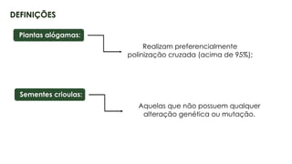 5
DEFINIÇÕES
Plantas alógamas:
Realizam preferencialmente
polinização cruzada (acima de 95%);
Sementes crioulas:
Aquelas que não possuem qualquer
alteração genética ou mutação.
 