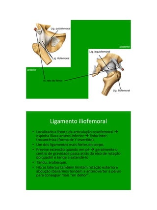 21/1/2011




                 Lig. pubofemoral




                                                                posterior
                                     Lig. isquiofemoral

                  Lig. iliofemoral



anterior



           m. reto do fêmur


                                                          Lig. iliofemoral




                Ligamento iliofemoral
    • Localizado a frente da articulação coxofemoral 
      espinha ilíaca antero-inferior  linha inter-
      trocantérica (forma de Y invertido).
    • Um dos ligamentos mais fortes do corpo.
    • Previne extensão quando em pé  geralmente o
      centro de gravidade passa atrás do eixo de rotação
      do quadril e tende a extendê-lo
    • Tandu, arabesque.
    • Fibras laterais também limitam rotação externa e
      abdução (bailarinos tendem a anteroverter a pélvis
      para conseguir mais “en dehor”.




                                                                                   12
 