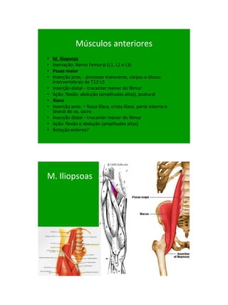 21/1/2011




                Músculos anteriores
•   M. Iliopsoas
•   Inervação: Nervo Femural (L1, L2 e L3)
•   Psoas maior
•   Inserção prox. - processo transverso, corpos e discos
    intervertebrais de T12-L5
•   Inserção distal – trocanter menor do fêmur
•   Ação: flexão, abdução (amplitudes altas), postural
•   Ilíaco
•   Inserção prox. – fossa ilíaca, crista ilíaca, parte interna e
    lateral do os. sacro
•   Inserção distal – trocanter menor do fêmur
•   Ação: flexão e abdução (amplitudes altas)‫‏‬
•   Rotação externa?




M. Iliopsoas




                                                                          15
 