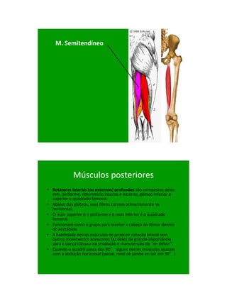21/1/2011




    M. Semitendíneo




             Músculos posteriores
• Rotatores laterais (ou externos) profundos são compostos pelos
  mm. piriforme, obturatório interno e externo, gêmeo inferior e
  superior e quadrado femoral.
• Abaixo dos glúteos, suas fibras correm primariamente na
  horizontal.
• O mais superior é o piriforme e o mais inferior é o quadrado
  femoral.
• Funcionam como o grupo para manter a cabeça do fêmur dentro
  do acetábulo.
• A habilidade destes músculos de produzir rotação lateral sem
  outros movimentos acessórios faz deles de grande importância
  para a dança clássica na produção e manutenção do “en dehor”.
• Quando o quadril passa dos 90° alguns destes músculos ajudam
  com a abdução horizontal (passé, rond de jambe en láir em 90°)‫‏‬




                                                                          22
 