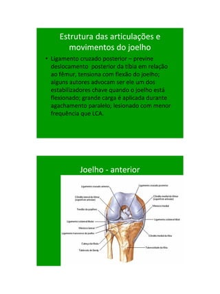 21/1/2011




     Estrutura das articulações e
        movimentos do joelho
• Ligamento cruzado posterior – previne
  deslocamento posterior da tíbia em relação
  ao fêmur, tensiona com flexão do joelho;
  alguns autores advocam ser ele um dos
  estabilizadores chave quando o joelho está
  flexionado; grande carga é aplicada durante
  agachamento paralelo; lesionado com menor
  frequência que LCA.




            Joelho - anterior




                                                      45
 