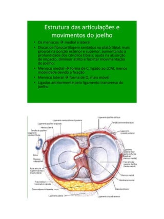 21/1/2011




      Estrutura das articulações e
         movimentos do joelho
• Os meniscos  medial e lateral
• Discos de fibrocartilagem sentados no platô tibial; mais
  grossos na porção exterior e superior, aumentando a
  profundidade dos côndilos tibiais; ajuda na absorção
  de impacto, diminuir atrito e facilitar movimentação
  do joelho;
• Menisco medial  forma de C, ligado ao LCM, menos
  mobilidade devido a fixação
• Menisco lateral  forma de O, mais móvel
• Ligados antriormente pelo ligamento transverso do
  joelho




                                                                   47
 
