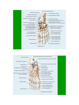 21/1/2011




      68
 