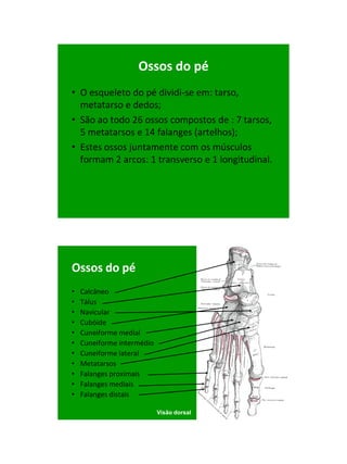 21/1/2011




                    Ossos do pé
• O esqueleto do pé dividi-se em: tarso,
  metatarso e dedos;
• São ao todo 26 ossos compostos de : 7 tarsos,
  5 metatarsos e 14 falanges (artelhos);
• Estes ossos juntamente com os músculos
  formam 2 arcos: 1 transverso e 1 longitudinal.




Ossos do pé
•   Calcâneo
•   Tálus
•   Navicular
•   Cubóide
•   Cuneiforme medial
•   Cuneiforme intermédio
•   Cuneiforme lateral
•   Metatarsos
•   Falanges proximais
•   Falanges mediais
•   Falanges distais

                            Visão dorsal




                                                          7
 