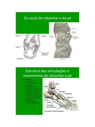 21/1/2011




       Os ossos do calcanhar e do pé




       Estrutura das articulações e
      movimentos do calcanhar e pé
•   34 articulações
     – Articulação talocrural
     – Articulação talocalcânea
     – Articulação
       talocalcaneonavicular
     – Articulação cuneonavicular
     – Articulação calcaneocubóidea
     – Articulação cuneocubóidea
     – Articulações intercuneiformes
     – Articulações tarsometatarsais
     – Articulações intermetatarsais
     – Articulações
       metatarsofalângicas
     – Articulações interfalângicas




                                             70
 